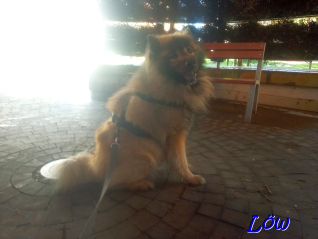 20.4.2025 - Tief Luft holen